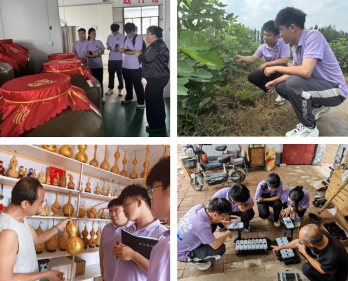 图片5_副本.png