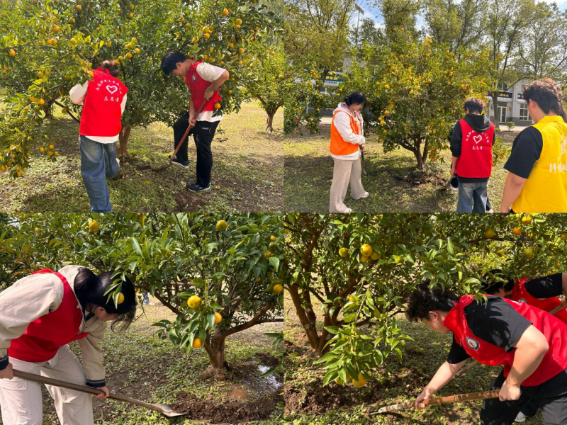 橘香润心 劳动育人  ——海门学院开展新学期劳动教育实践第一课
