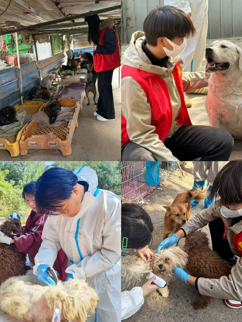 寒冬送暖显真情 青春行动护生灵 ——赴爱之家流浪动物基地开展社会实践